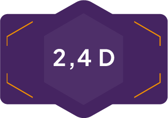 2,4 D